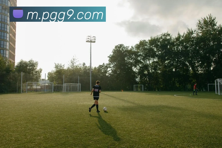 多媒体互动体验